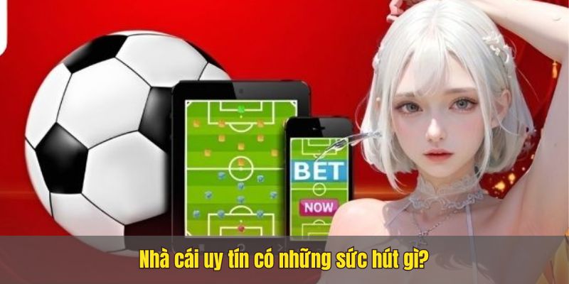 Trang nhà cái uy tín Nhacai24h1.net, bet thủ không nên bỏ qua 10 Trang nhà cái uy tín Nhacai24h1.net, bet thủ không nên bỏ qua