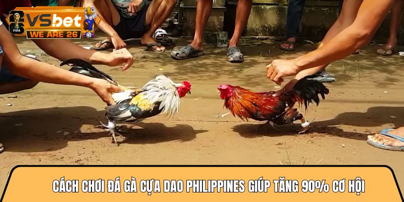 Cách chơi đá gà cựa dao philippines giúp tăng 90% cơ hội 1 Cách chơi đá gà cựa dao philippines